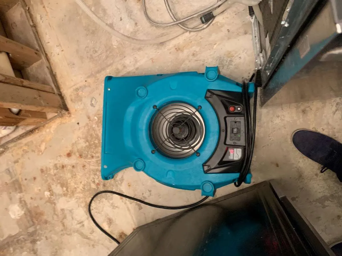 Air mover drying equipment for Mold Remediation & Removal in North Kensington